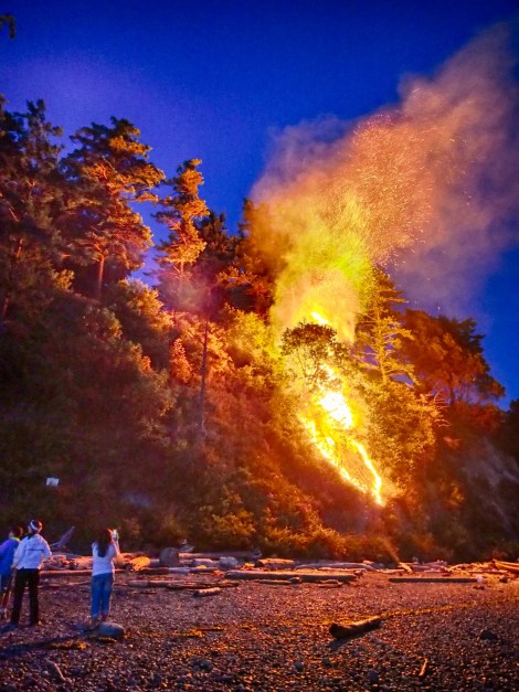 brushfire on camano shores