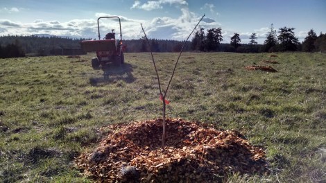 07-img_20170224_145842