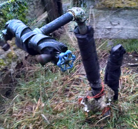 3-img_20170221_071206-001