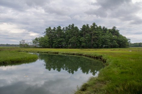 Rachel Carson Wildlife Refuge