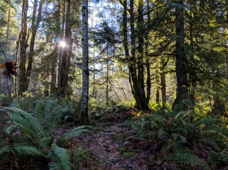 Maker:S,Date:2017-10-11,Ver:6,Lens:Kan03,Act:Lar02,E-ve