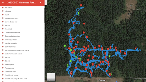 Screen Shot 2020-06-13 at 10.47.11 AM