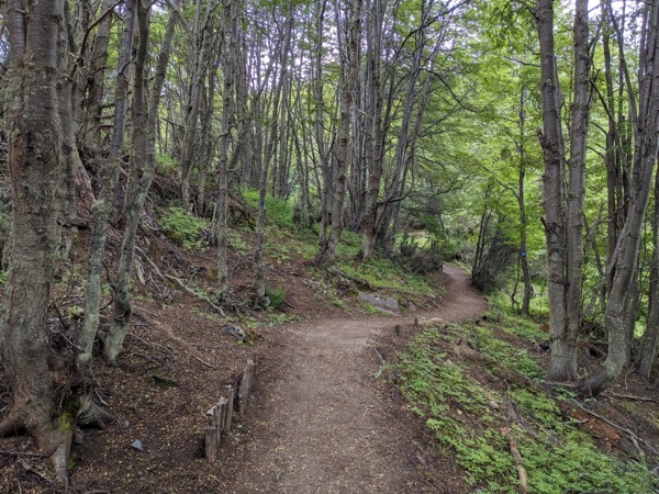 PXL 20230115 195349202