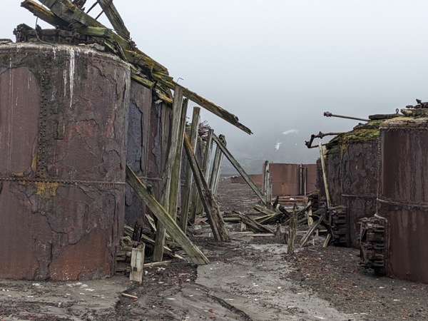 PXL 20230123 142111634