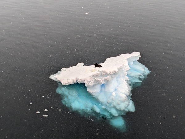 PXL_20230330_163740663.jpg PXL 20230330 163740663